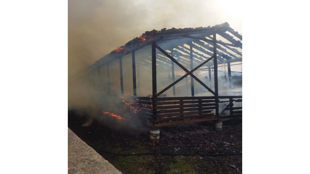 At Çiftliğinde Yangın Paniği