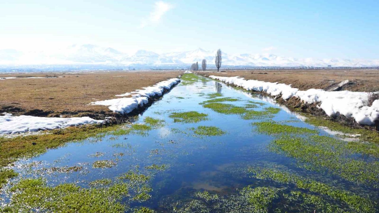 Buzlanma Ve Dona Dikkat