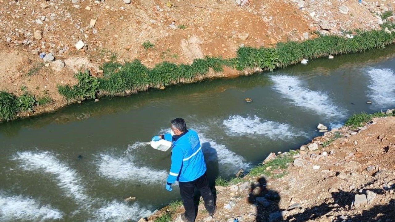 Adıyaman Belediyesi’nden Larva Mücadelesi
