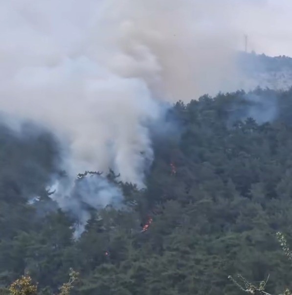 Milas’ta Orman Yangını