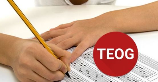 MEB 2017 teog ne zaman?