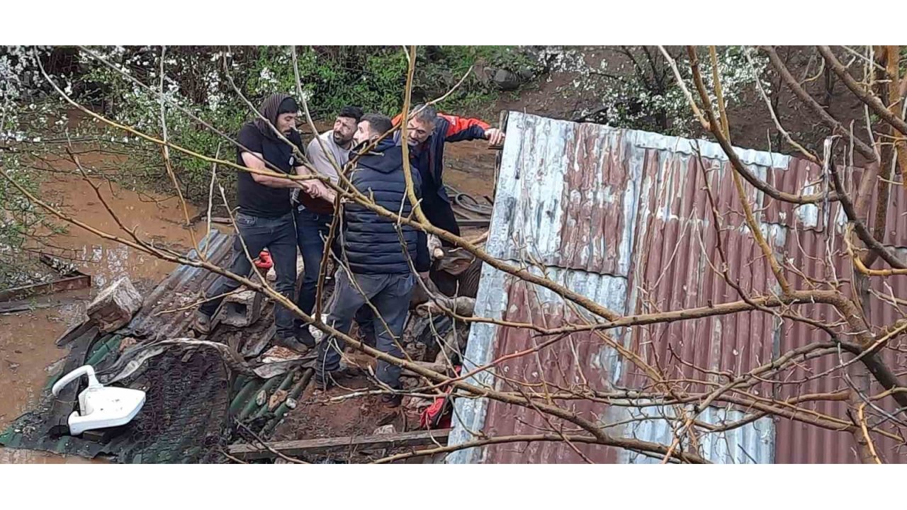 Bingöl’de Sağanak Felakete Yol Açtı: Su Basan Ahırda Çok Sayıda Hayvan Telef Oldu
