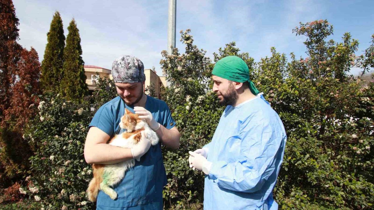 Kırık Bacakla Geldi, Adı