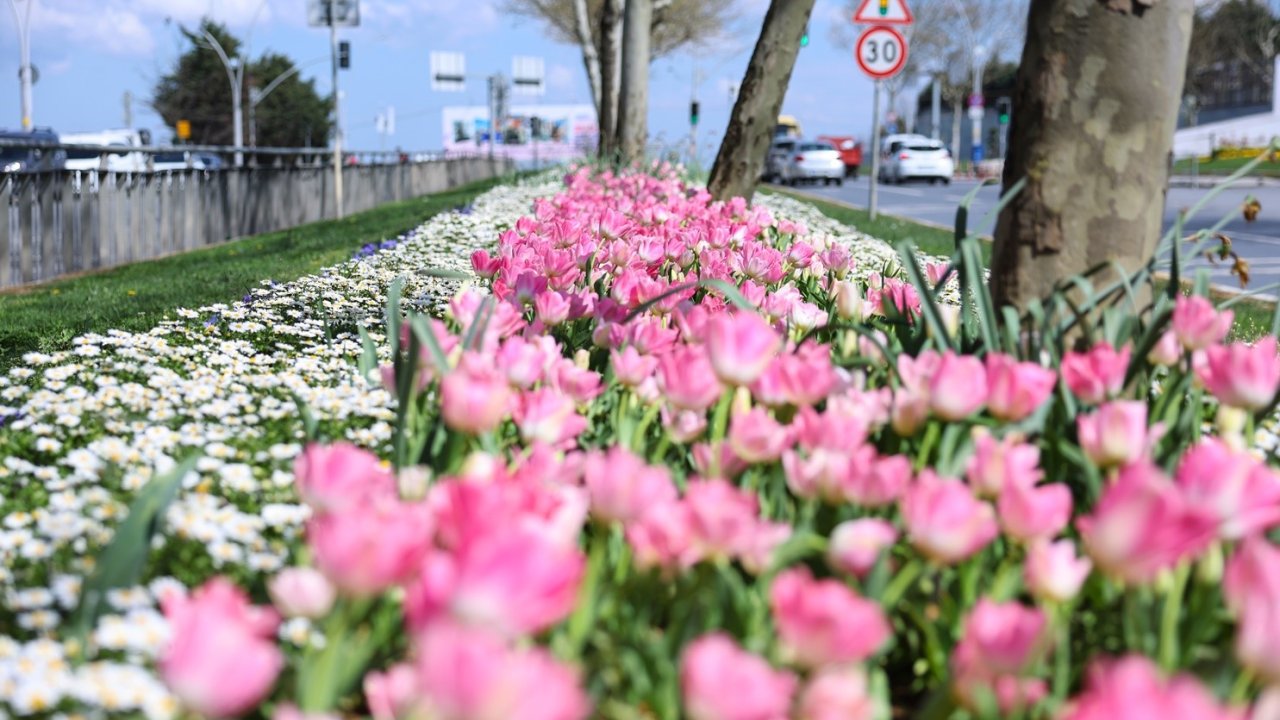 Sultangazi’nin Cadde Ve Sokaklarına Bahar Geldi