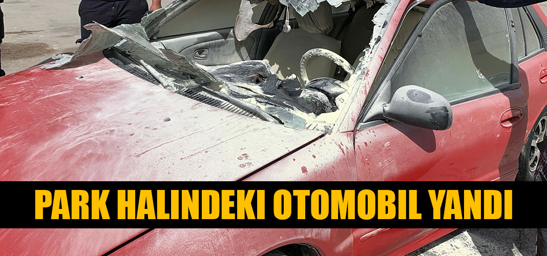 PARK HALINDEKI OTOMOBIL YANDI