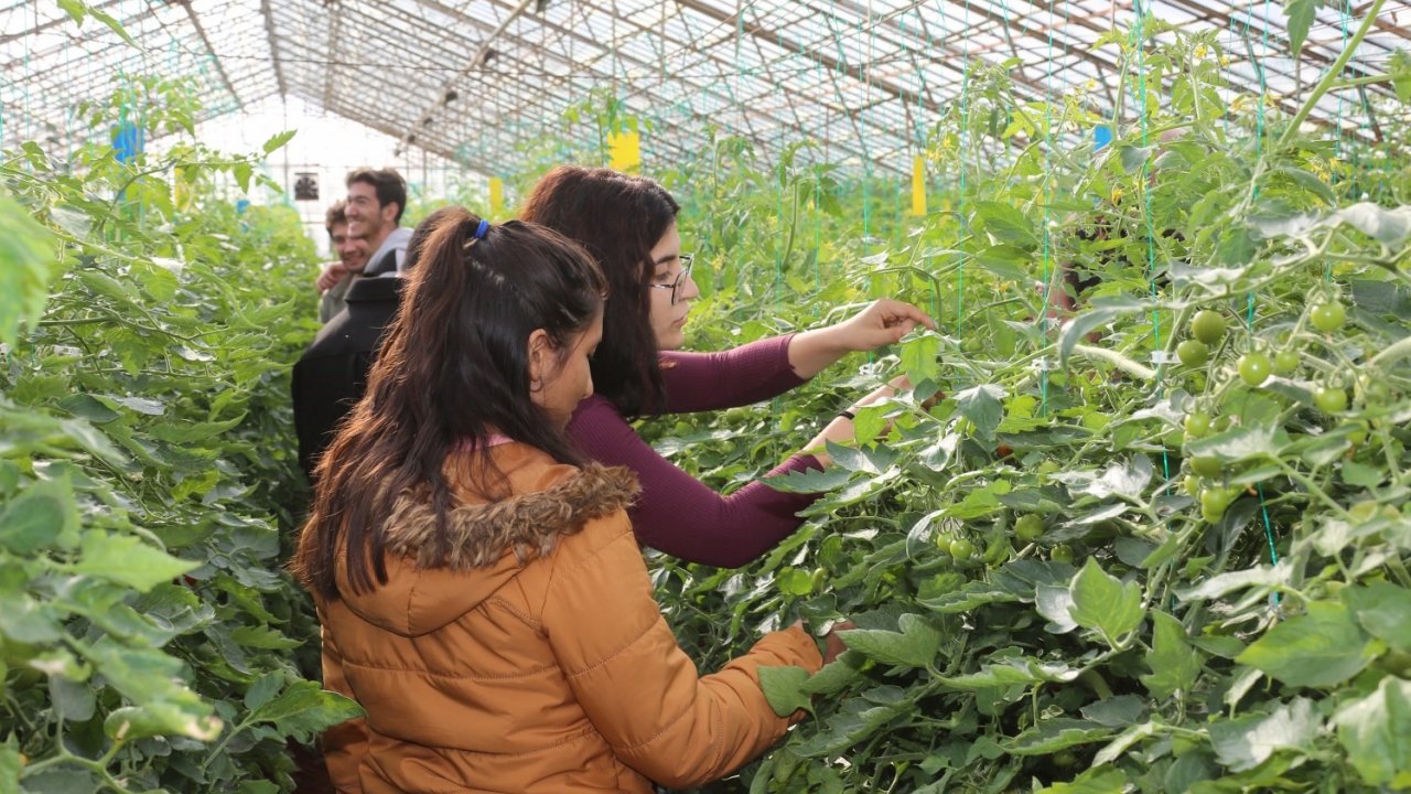 Akdeniz Üniversitesi Öğrencilerinin 207 Projesi Tübitak Tarafından Desteklenecek