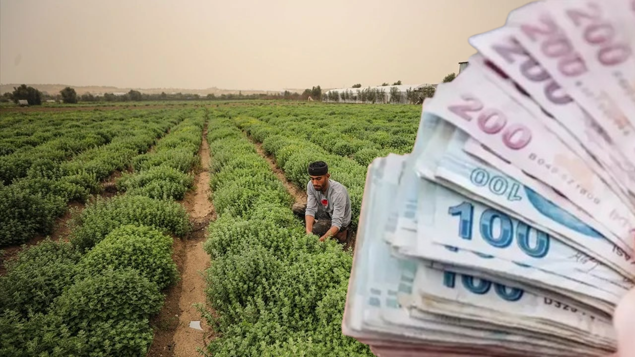 Çiftçiye Nohut ve Yem Bitkisi Desteği!