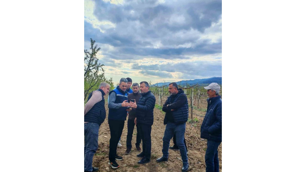 Tarım Alanlarındaki Zirai Don Hasarı İnceleniyor