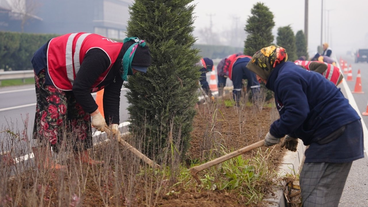 Düzce’de 14 Bine Yakın Bitki Dikildi