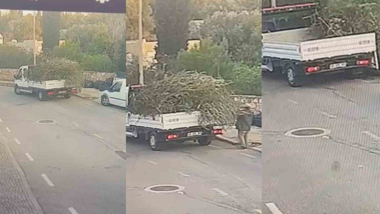 Bodrum Belediyesi’nden Çevreyi Kirletenlere Cezai İşlem