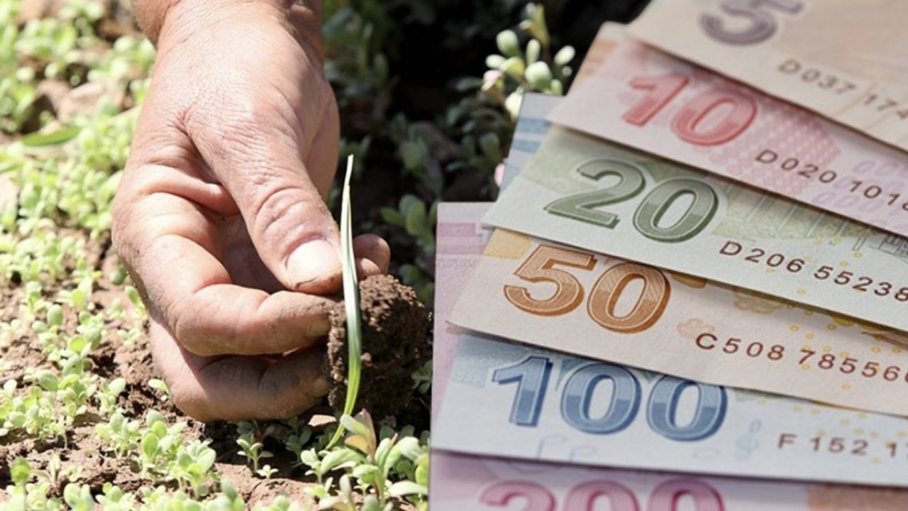 Çiftçiye Ayçiçeği, Kuru Fasulye ve Nohut Tohumu Desteği!