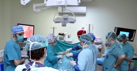 Çanakkale’de ürolojik laparoskopi eğitiminde 2. etap