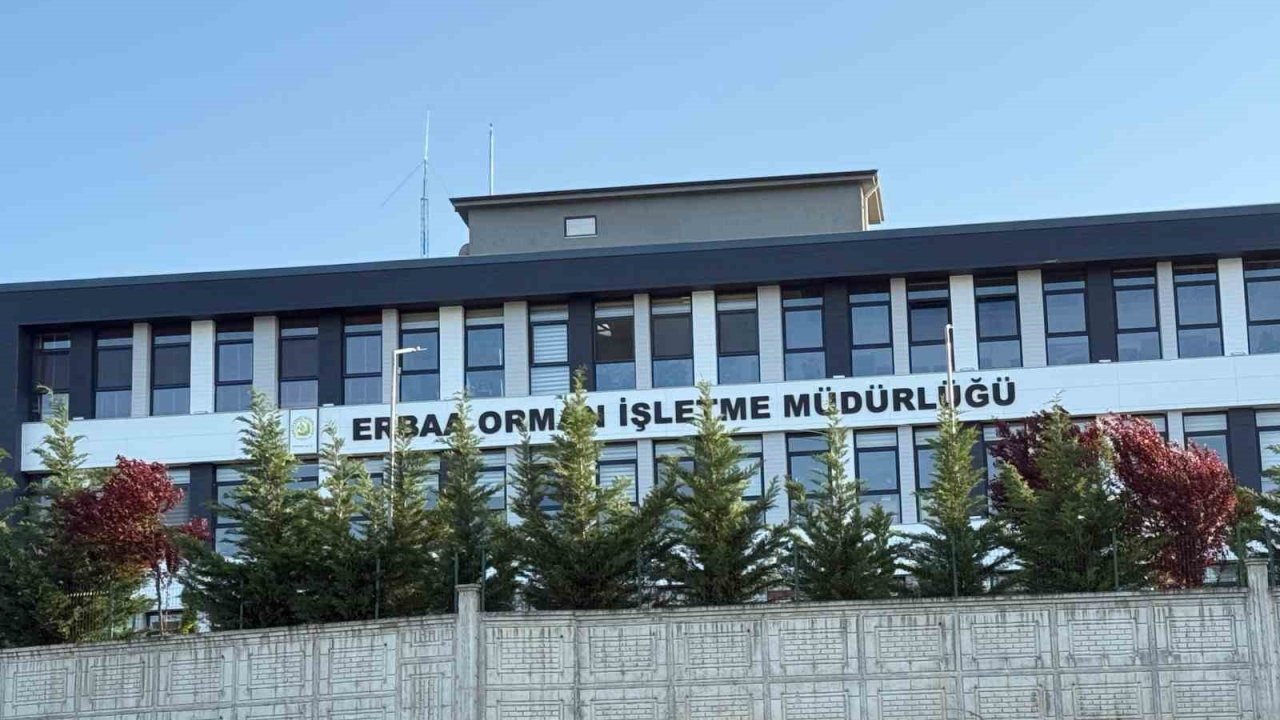 Tokat’ta Jandarmadan Yolsuzluk Operasyonu: 7 Gözaltı