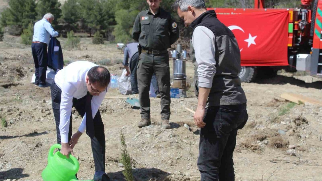 Emekli Öğretmenler Doğa İçin Kolları Sıvadı, Onlarca Fidan Dikti
