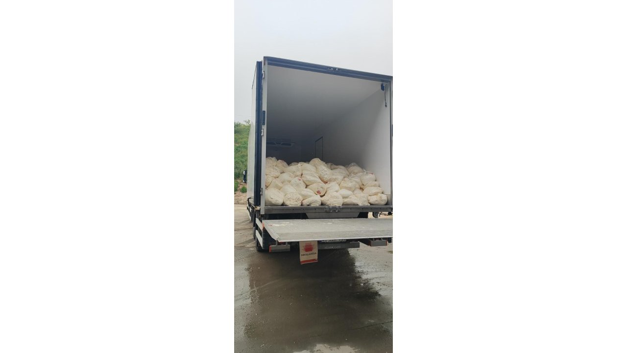 Sakarya’da Son Kullanma Tarihi Geçmiş 23 Ton Lor Peyniri Ele Geçirildi