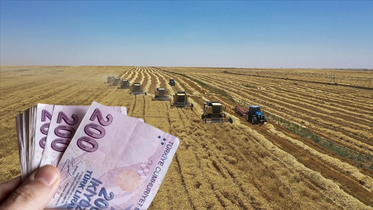 Tarım Bakanlığı’ndan Kilo Başına 10 TL Ödeme Desteği!