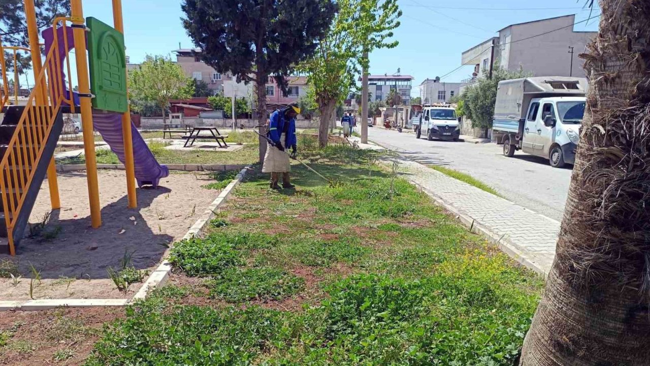 Akdeniz’in Yeşil Dokusu Koruma Altında