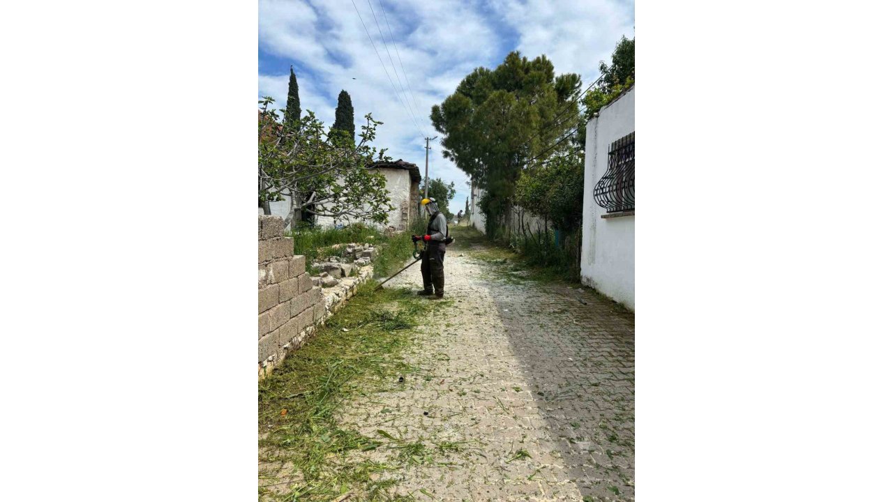 Belediye Ekipleri Akköy’de Otlara Geçit Vermiyor