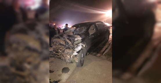 Kaynarca’da kaza: 1 yaralı