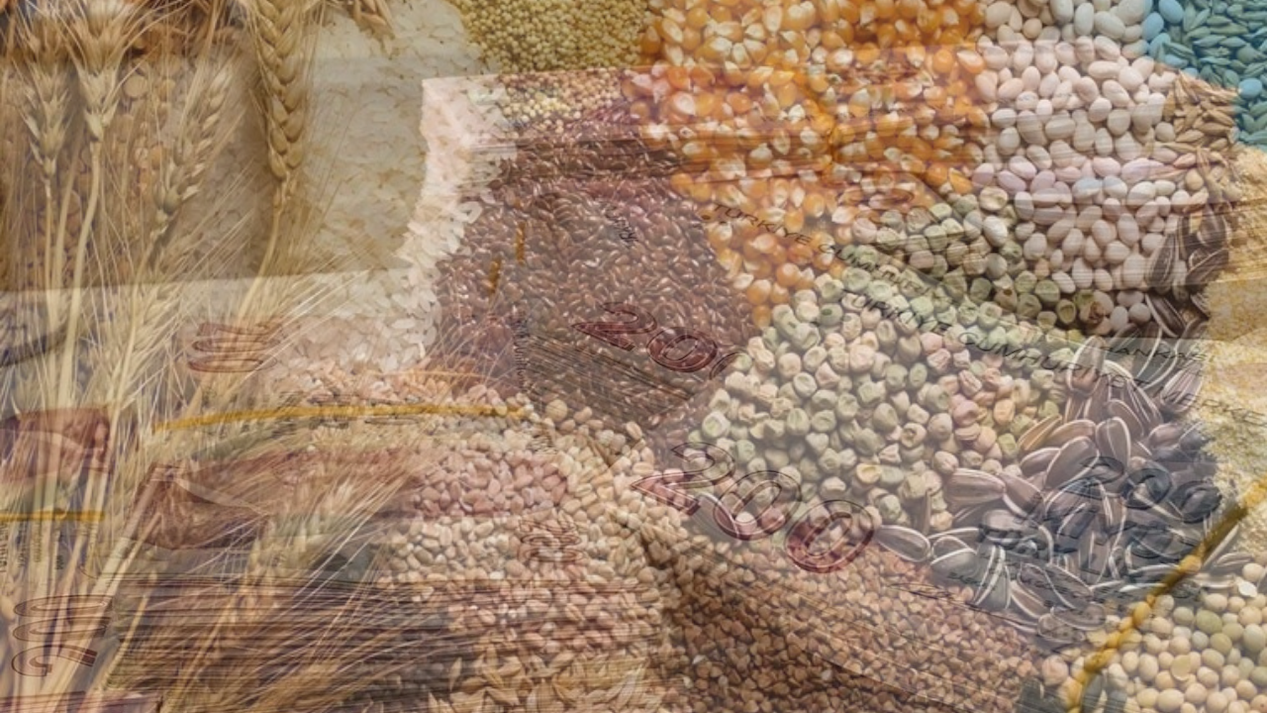 Hububata Rekor Zam! Güncel Hububat Fiyatları Nisan 2025!