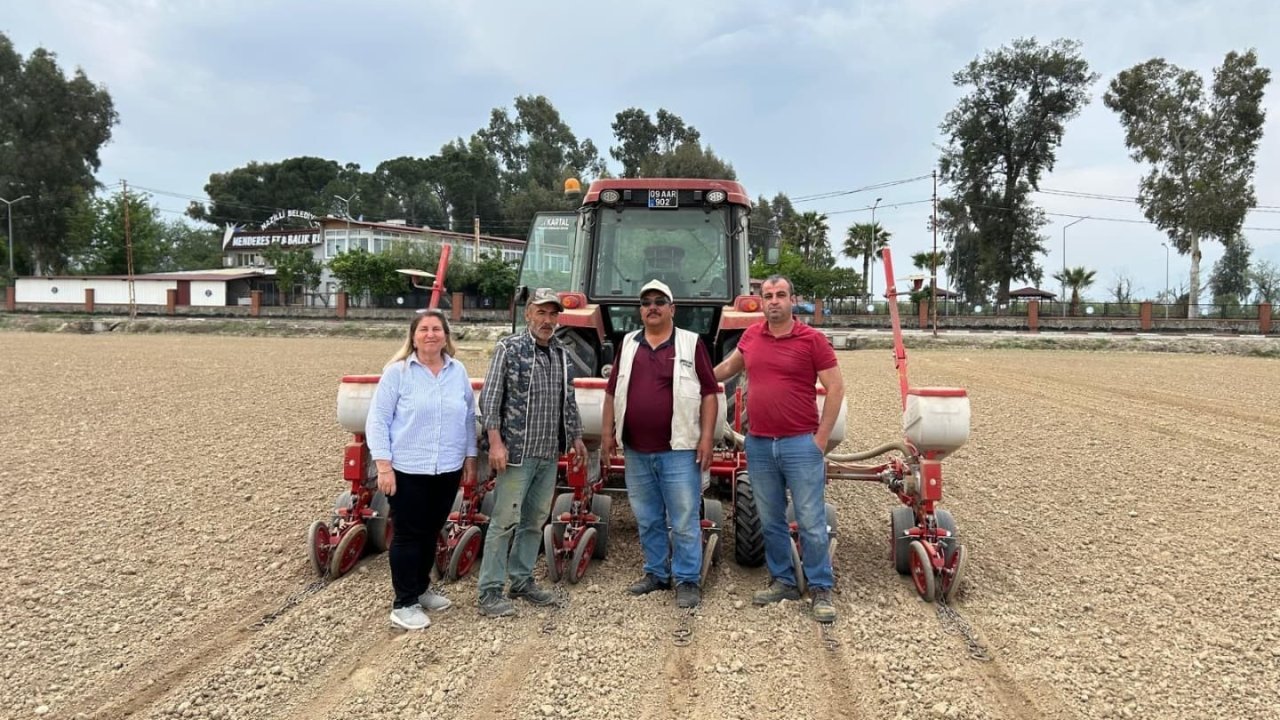 Aydın’da Beyaz Altın Toprakla Buluştu: Pamuk Ekimleri Başladı