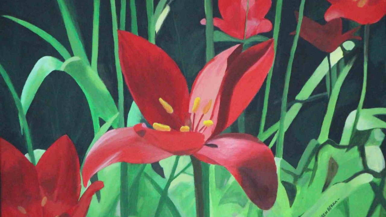 ’amasya Çiçekleri’ Tablolarda Açtı