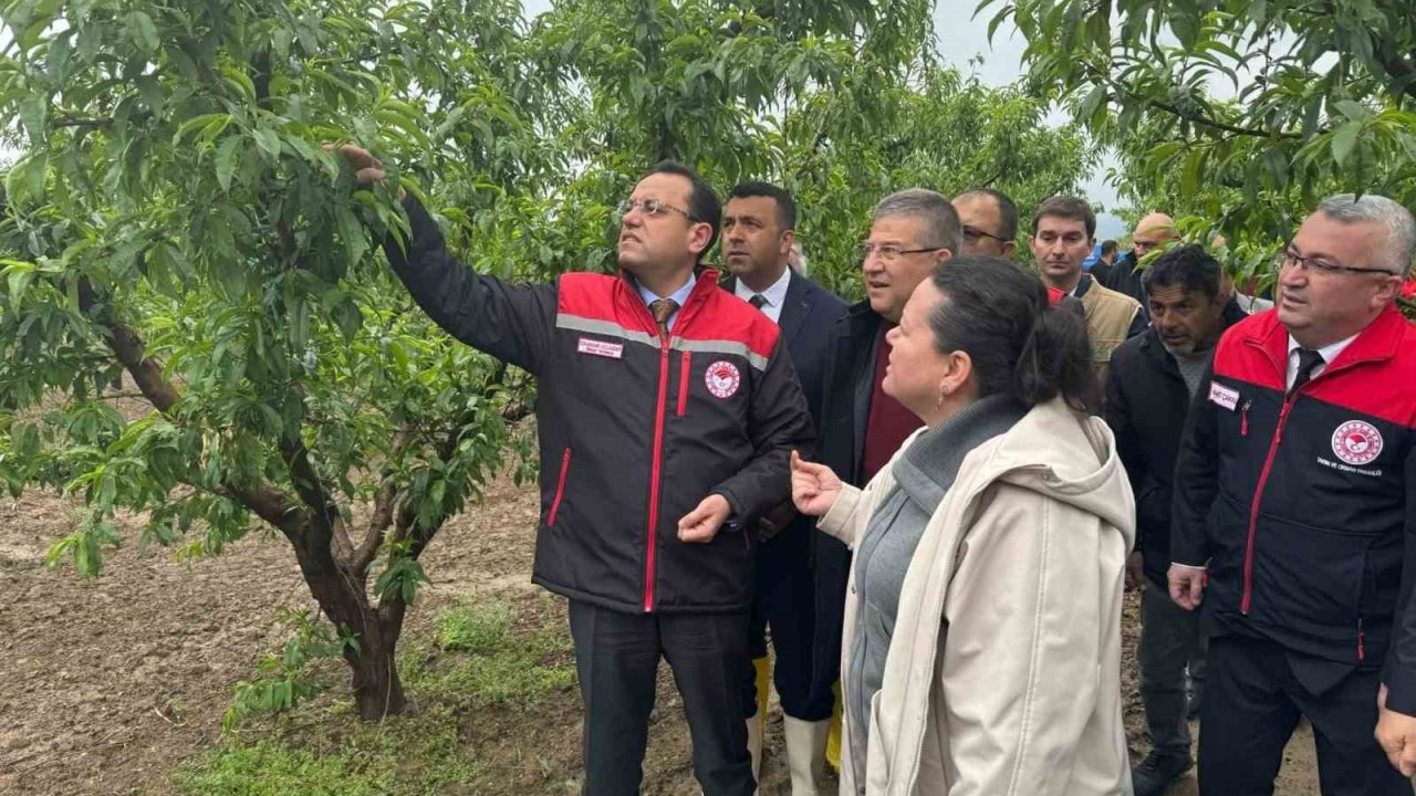 Tarım Ve Orman Bakan Yardımcısı Gizligider, Denizli’de Zirai Dondan Etkilenen Tarımsal Alanları İnceledi