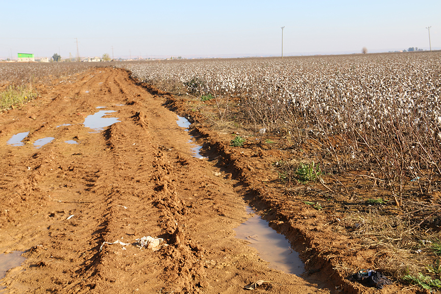 Tarlasında Tam 175 Milyon TL’lik Parlayan Taş Buldu!