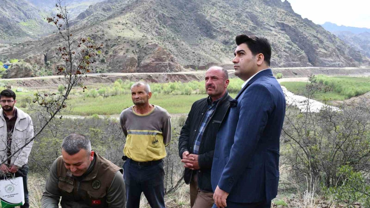 Kaçak Avcılığa Karşı Fotokapanlı Önlem