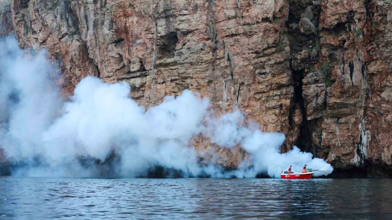 Havaların Isınmasıyla Birlikte İlaçlama Çalışmaları Hız Kazandı