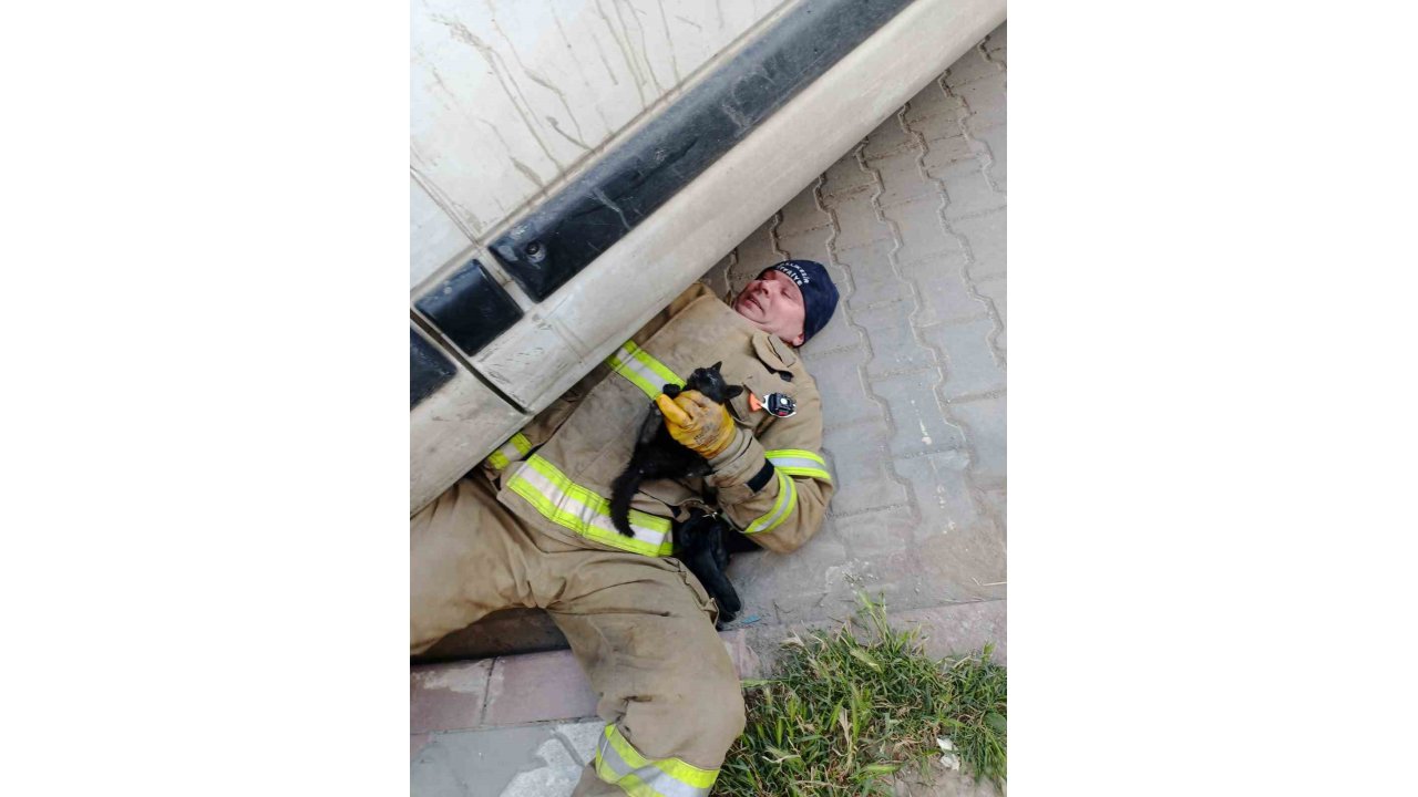 Edremit’te Aracın İçinde Sıkışan Yavru Kedi Kurtarıldı