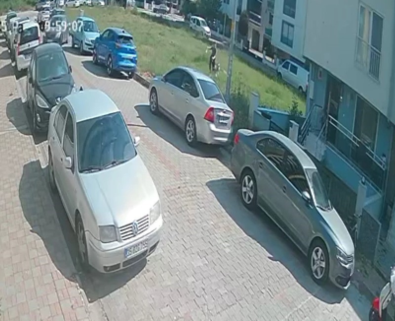 Aydın’da Sınava Giden Öğrenciye Köpek Saldırdı