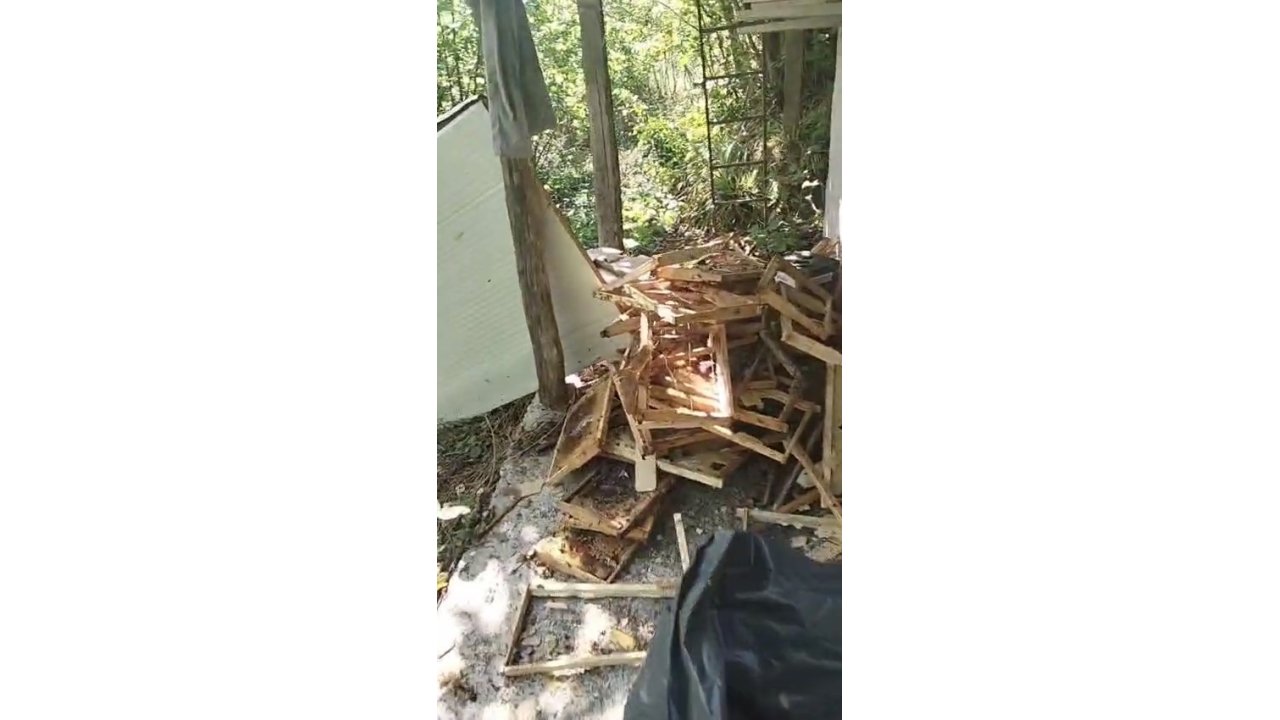 Rize’de Ayı Soğuk Hava Deposuna Saldırdı