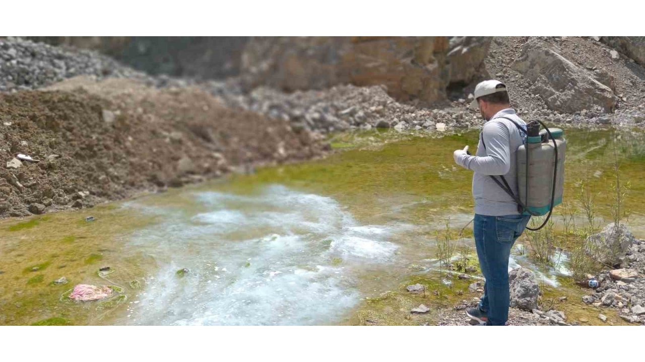 Hakkari’de Yaz Öncesi Larva Seferberliği