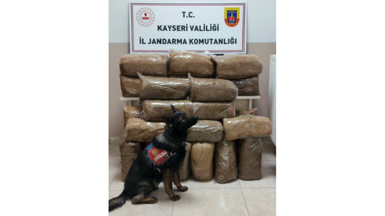 Yolcu Otobüsünde Kaçak Tütün Ele Geçirildi