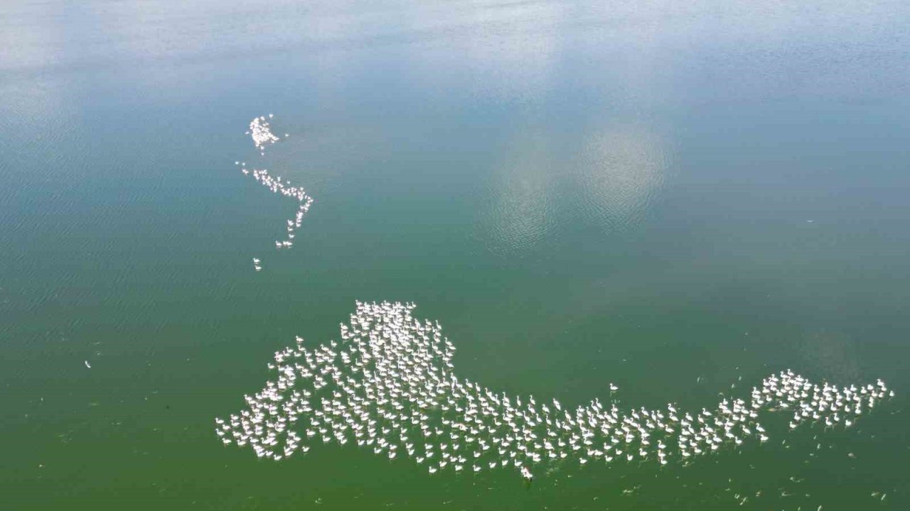 Flamingolar Doğanın Bahara Uyanışını Müjdeledi