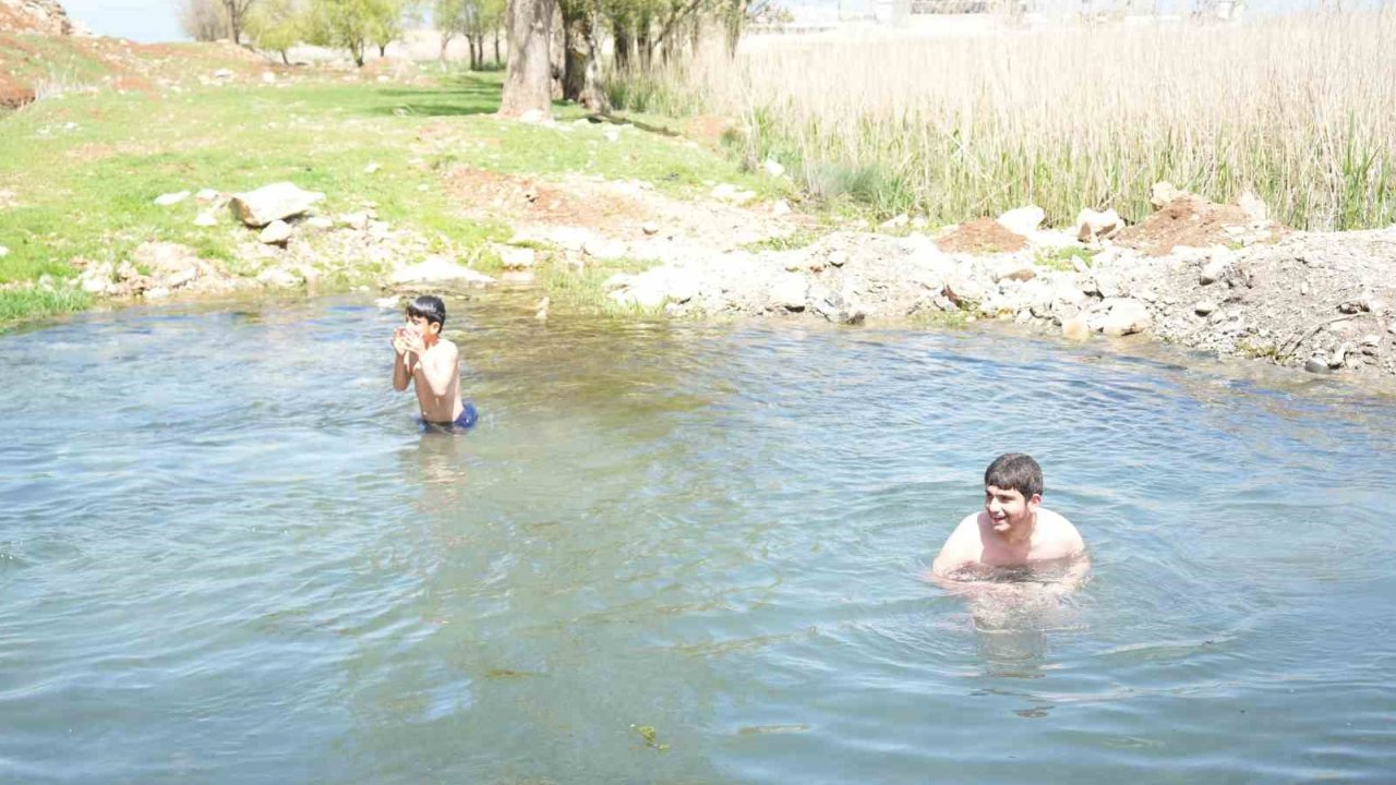 Muşlu Çocuklar Soğuğa Aldırmadı: Titreye Titreye Gölette Yüzdüler