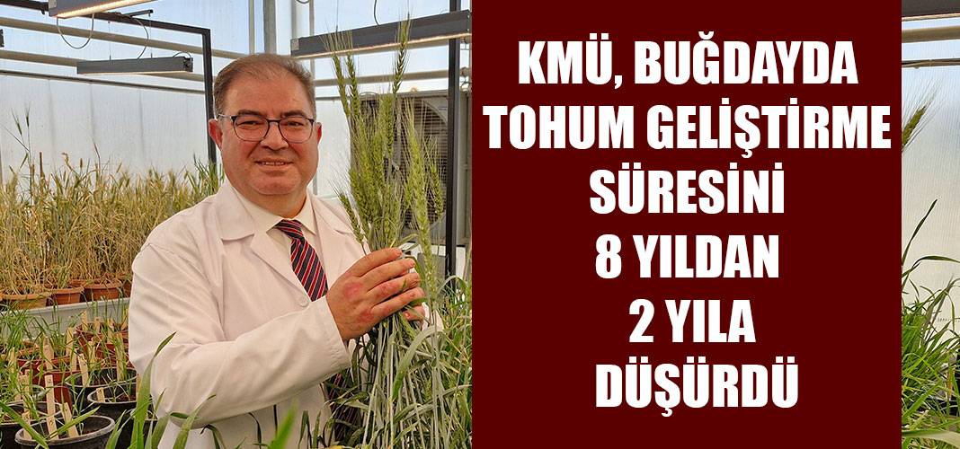KMÜ, BUĞDAYDA TOHUM GELİŞTİRME SÜRESİNİ 8 YILDAN 2 YILA DÜŞÜRDÜ