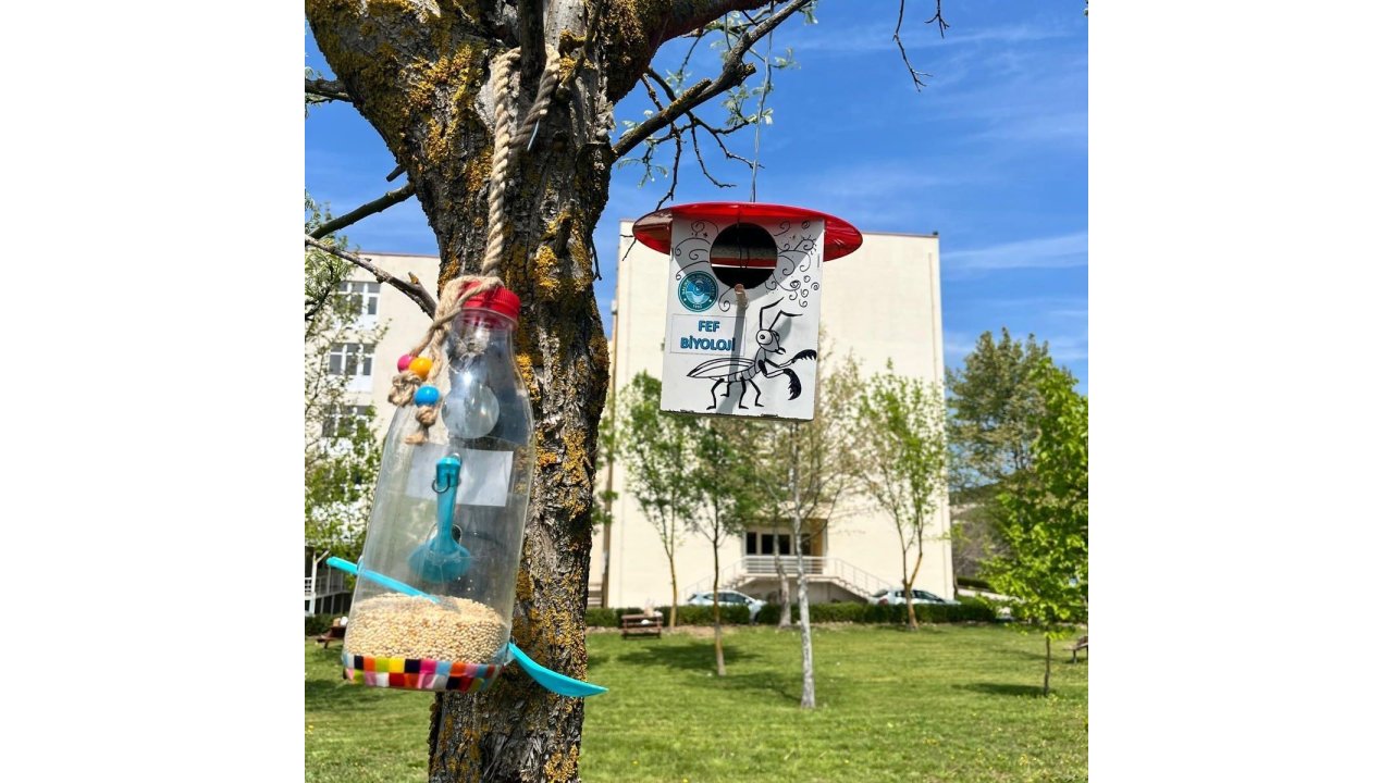 Öğrencilerden Kuşlar İçin Yuva Ve Yemlik