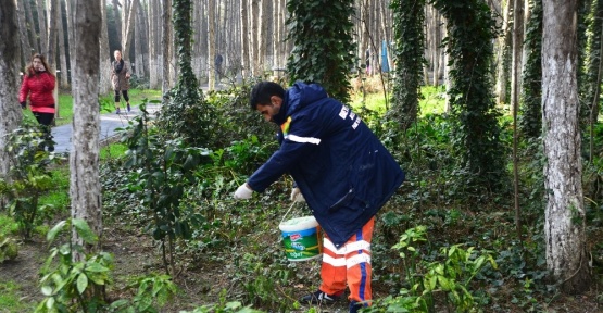 Beylikdüzü’nün bitki örtüsü bakımda