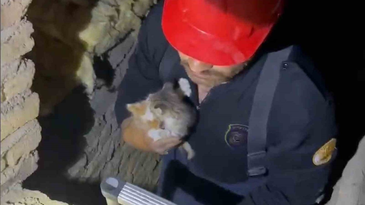 Kırıkkale’de Havalandırma Boşluğuna Düşen Yavru Kediler Kurtarıldı