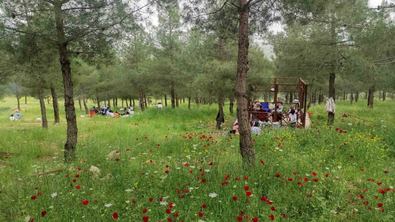 Batman’daki Malabadi Tabiat Parkı’na Yoğun İlgi