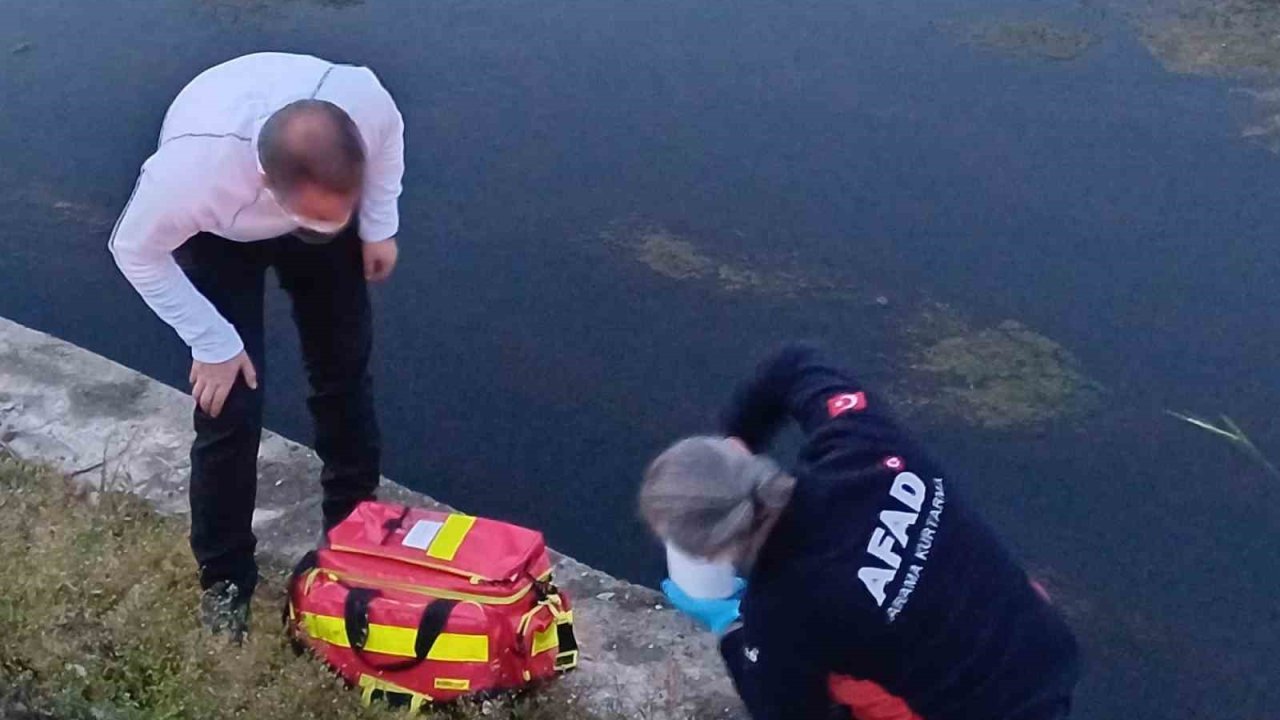 Balık Ve Kaz Ölümleri Sonrası Numune Alındı