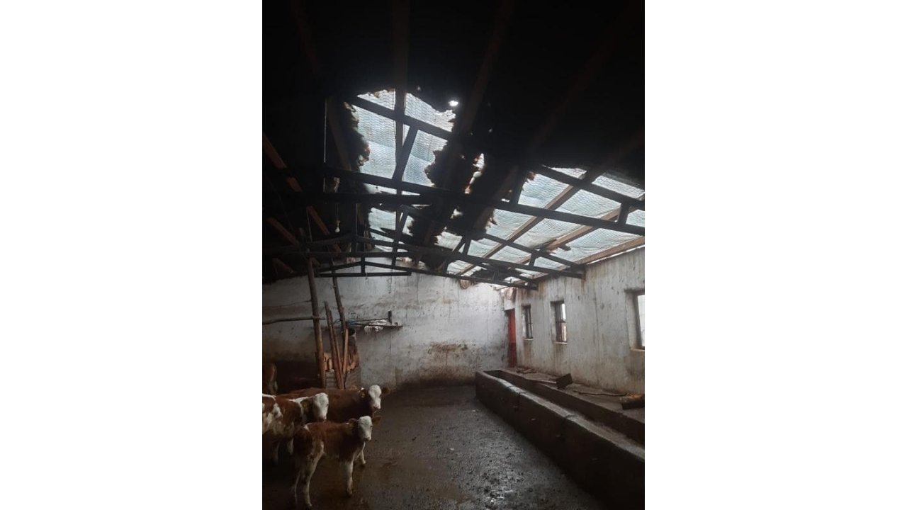 Elazığ’da Etkili Olan Fırtına Ahırın Çatısını Uçurdu