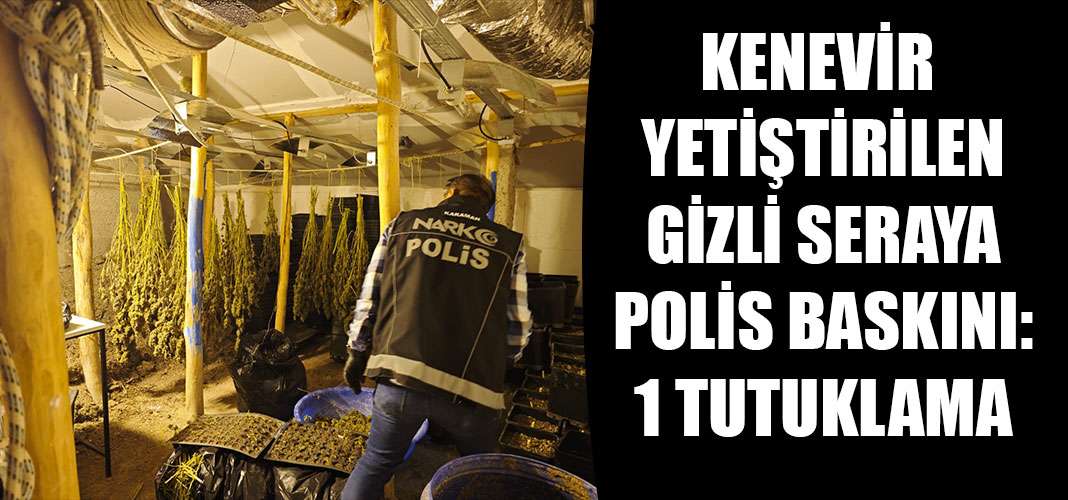 KENEVİR YETİŞTİRİLEN GİZLİ SERAYA POLİS BASKINI: 1 TUTUKLAMA
