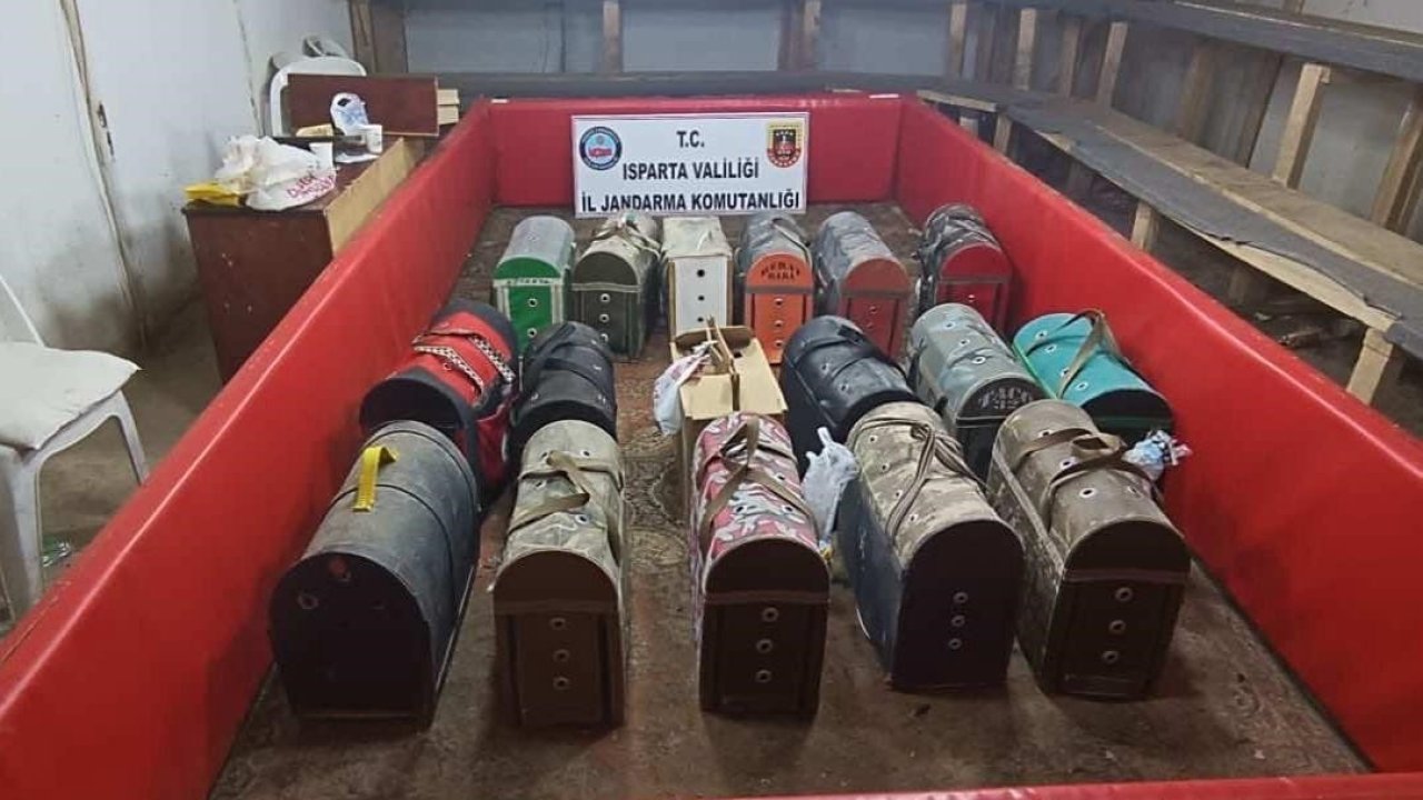 Isparta’da Horoz Dövüşüne Jandarma Baskını