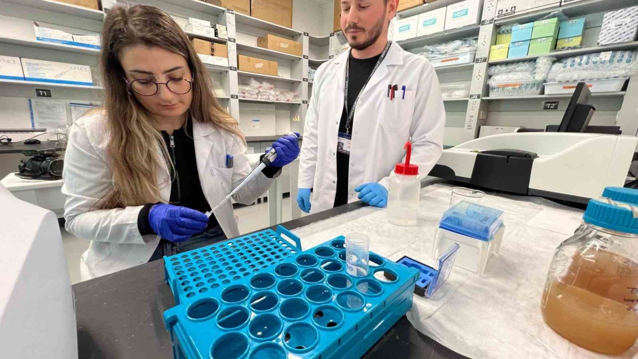 Trabzon’da Akrep Zehri Üzerine Çalışmalar Yürütülüyor