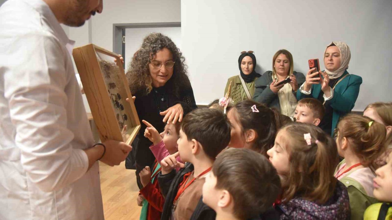 Minik Öğrenciler Böcekleri Dikkatle İnceledi
