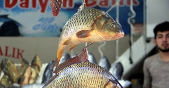 Balık fiyatları düştü ama kalkan hala cep yakıyor