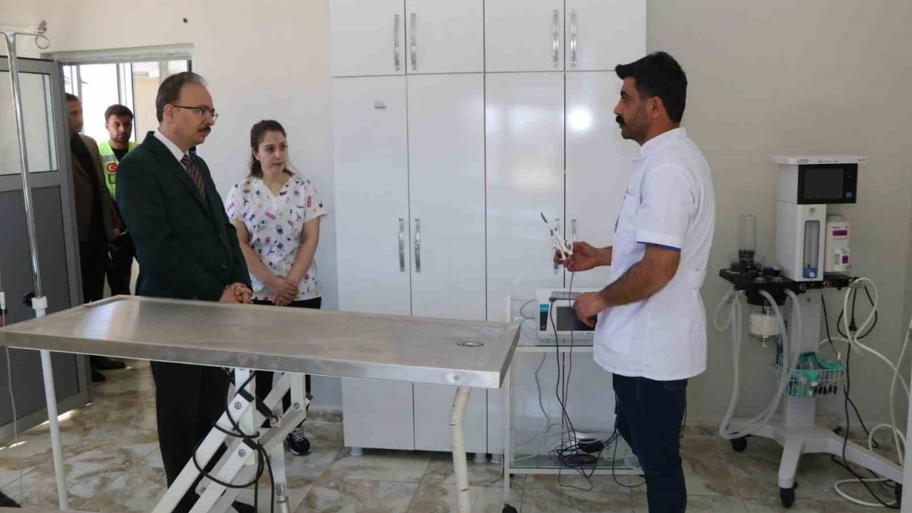 Siirt’te Sahipsiz Hayvanlar Bu Merkezde Güvenli Şekilde Yaşamlarını Sürdürüyor